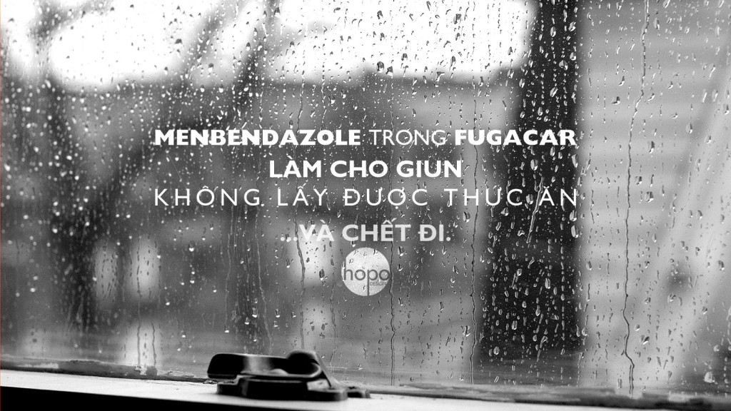 day12 1024x576 Tổng hợp những câu trích dẫn lãng xẹt :v