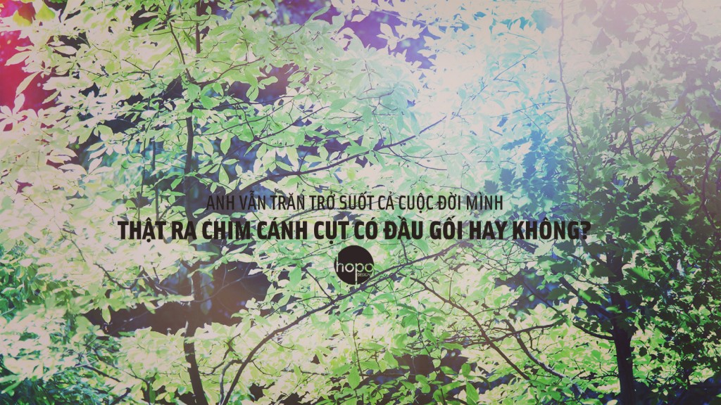 day30 1024x576 Tổng hợp những câu trích dẫn lãng xẹt :v